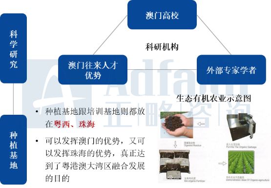 新闻 第81页