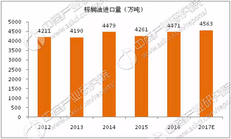 管家婆一肖中特揭秘，探索数字世界的奥秘与幸运之门（第095期深度解析）,管家婆一肖中特095期 06-19-32-45-46-48T：19