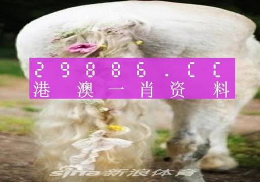 澳门正版免费全年资料解析，第140期及特定号码组合探讨（01-02-10-30-36-37S，29）,澳门正版免费全年资料140期 01-02-10-30-36-37S：29